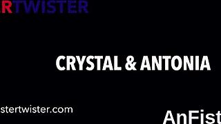 feisty lesbo bombshells fisting tight slits and gaping buttholes