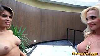 Once, a big-titted tgirl bent over and doggystyled a tattooed tranny in heels.