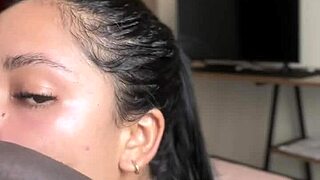 amateur couple blowjob