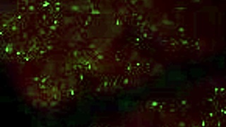 Femdom rides in VR game 😈