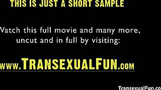 i banged a shemale group, assfucking and licking all night