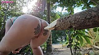 When peeing in the woods, I seriously consider shoving this log.