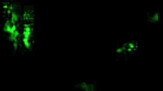 Vintage erotic drawings from antique anime collections