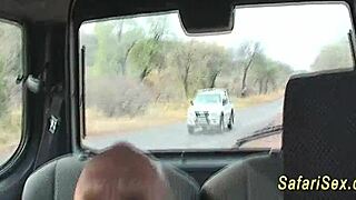 Ever Tried Hot Group Sex in the Backseat During an African Safari?