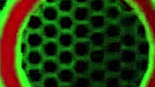 the hot sara jay is so sexy with her big tits