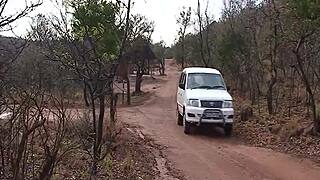 Ever Tried Hot Group Sex in the Backseat During an African Safari?