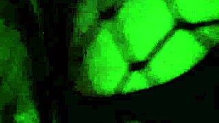 my friend fucked me again i missed it already