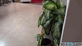 janice and alix pov scene