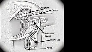 Tugging Blonde Babe Gets Spunked With Toys And Handjob