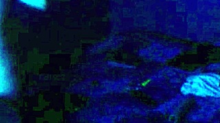 We Painted Our Bodies and Got Very Excited Together