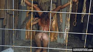 Brinetka savijena u šumi za dogi liženje