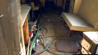 Brinetka savijena u šumi za dogi liženje