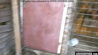 Brunette BENT OVER in woods for DOGGYSTYLE licking