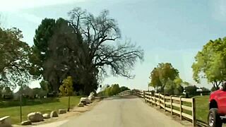 Teen Cutie Exposes Pussy in Rough POV Contest