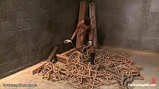 Ebony Slave Endures Rough Bondage and Harsh Training in Group Session