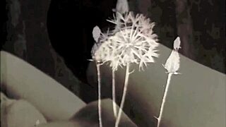 Dark Lantern Entertainment shares vintage blowjobs from secret confessions