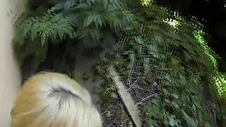 Naive Gal Banged On Hidden Webcam