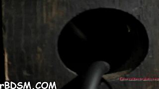 i bound my partner in hardcore bdsm bondage and sucked her pussy