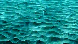 I’m obsessed with Gazel Podvodkova’s underwater naked beauty