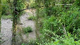 Detailed Scene Of Gay Cruising Leading To Public Cum Dump In Outdoor Setting Part 2