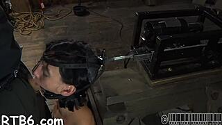 Gal Receives Neck Collar and Legs Widen Wide Open!