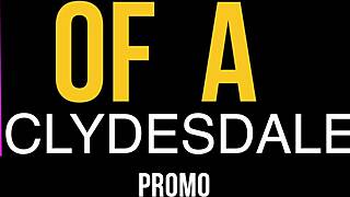 Yo, taming the huge ass of a Clydesdale is no easy task!