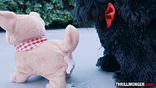 ohshetrippin! kabrina's first scene with doggy breeding and anal creampie is wild. big black cock and rimming action hit hard! 😲