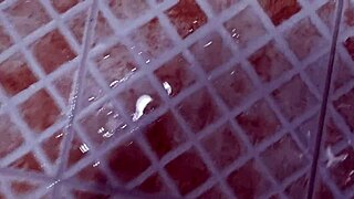 Korslaveman, Can You Pee with a Chastity Belt on Your Cock?