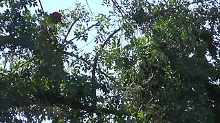 Older Man Shows No Mercy While Riding Young Mandy Sky with Relentless Handjob and Pounding Action.