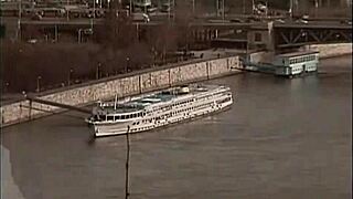 hey sluts, one dick enough for you in d p mania 1? never!