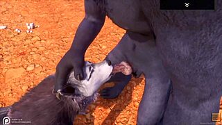 Lobo alfa bangs hot loba in wild life action