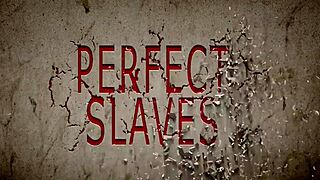 bbw 24-year-old follows strict training orders