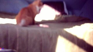 Big toy action for hidden cam solo performance