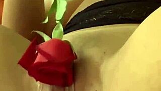 Ninfetinha Mestiça runker med legetøj og viser fødderne - Lina Nakamura