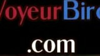 Bigboobs brit moaning in office joi session, voyeur watching 😏