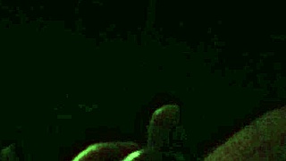 my wife giving me a homemade handjob