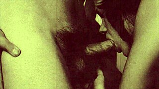 Watch my secret life in this vintage taboo series with hairy pussies.