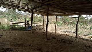 Widowed Stepmother Visits Stepson’s Farm for a Property Check