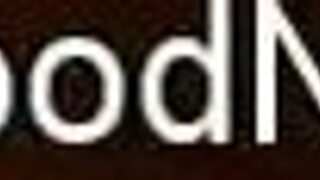 Dreamer Loves Indian Life