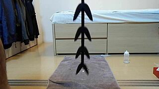 story of tulips and a plug in the garden