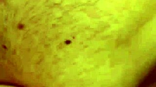 Alineflavio Update 151 From Sep 11 2024