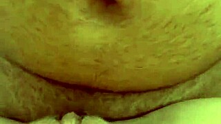 Alineflavio Update 151 From Sep 11 2024