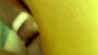 Alineflavio Update 151 From Sep 11 2024