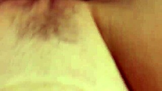 Alineflavio Update 151 From Sep 11 2024