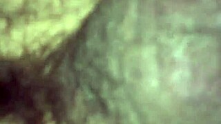 I'm sharing willy and jesse with matthew bareback with my wife