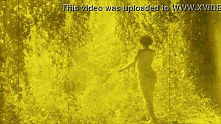 Explore Vintage Erotic Drawings: Antique Cartoons And Retro Hentai Artworks?