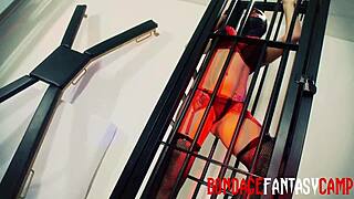 sexy mai bailey and krystal webb in fetish play