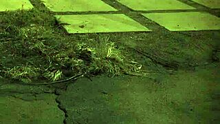 Teen in bondage gets arrested for public bdsm sex.