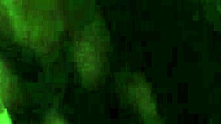 I dragged a dick from the square to my car, latina brunette bent over for doggystyle cumshot 😏