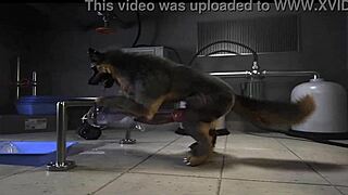 Hey, check out this H0rs3 compilation with wild fucking machines